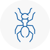 Ant Removals In Southwick