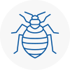 Bed Bug Extermination In Southwick