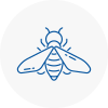 Bee Nest Removal Southwick