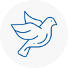 Bird Prevention Southwick