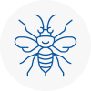 Southwick Hornet Nest Removals