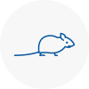 Mice Exterminators In Southwick