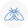 Moth Control Specialists In Southwick