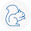 Southwick Rodent Removals