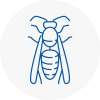 Southwick Wasp Nest Removal
